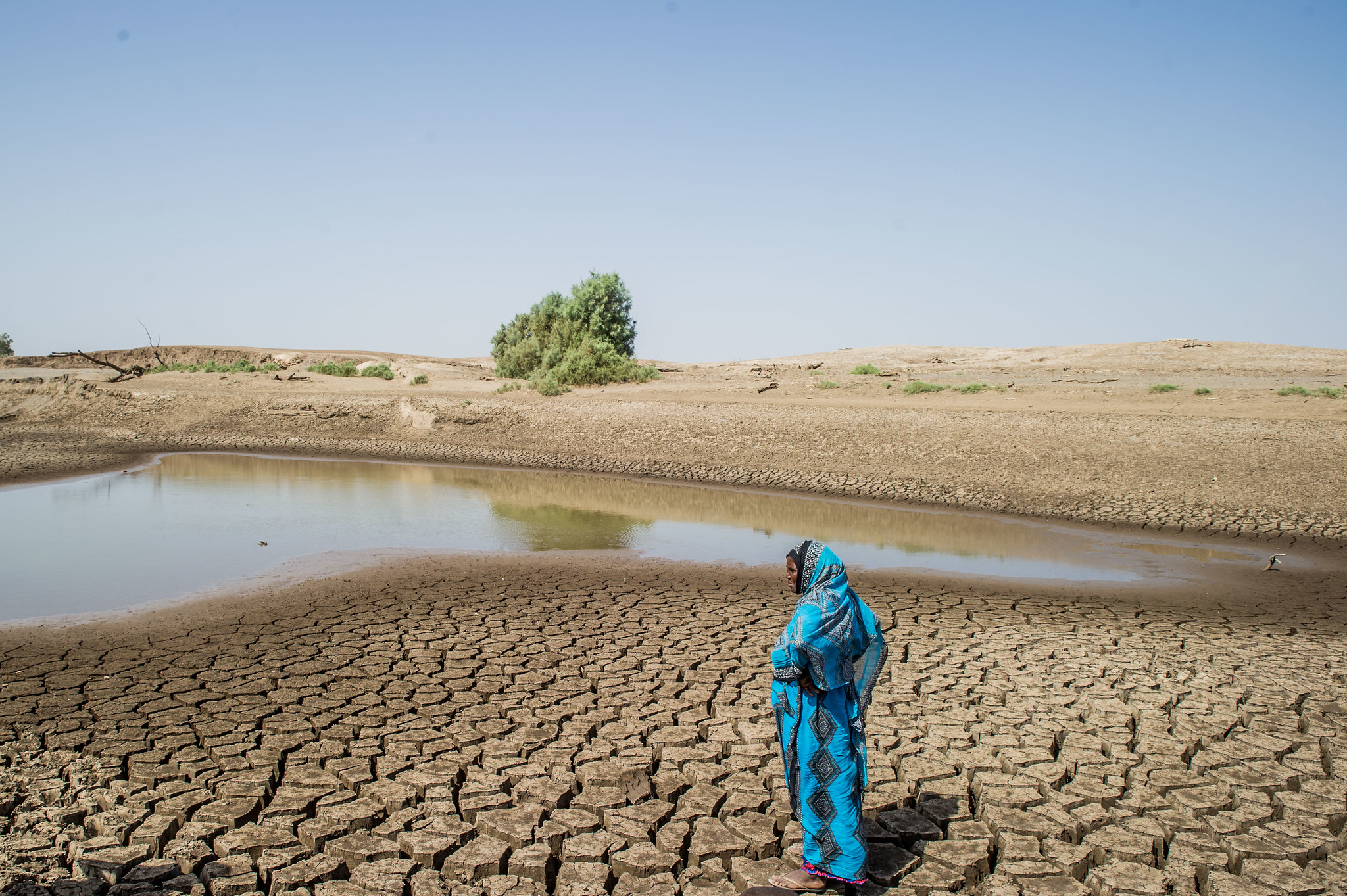 Acqua alla base della piramide alimentare - APIAFCO - Associazione